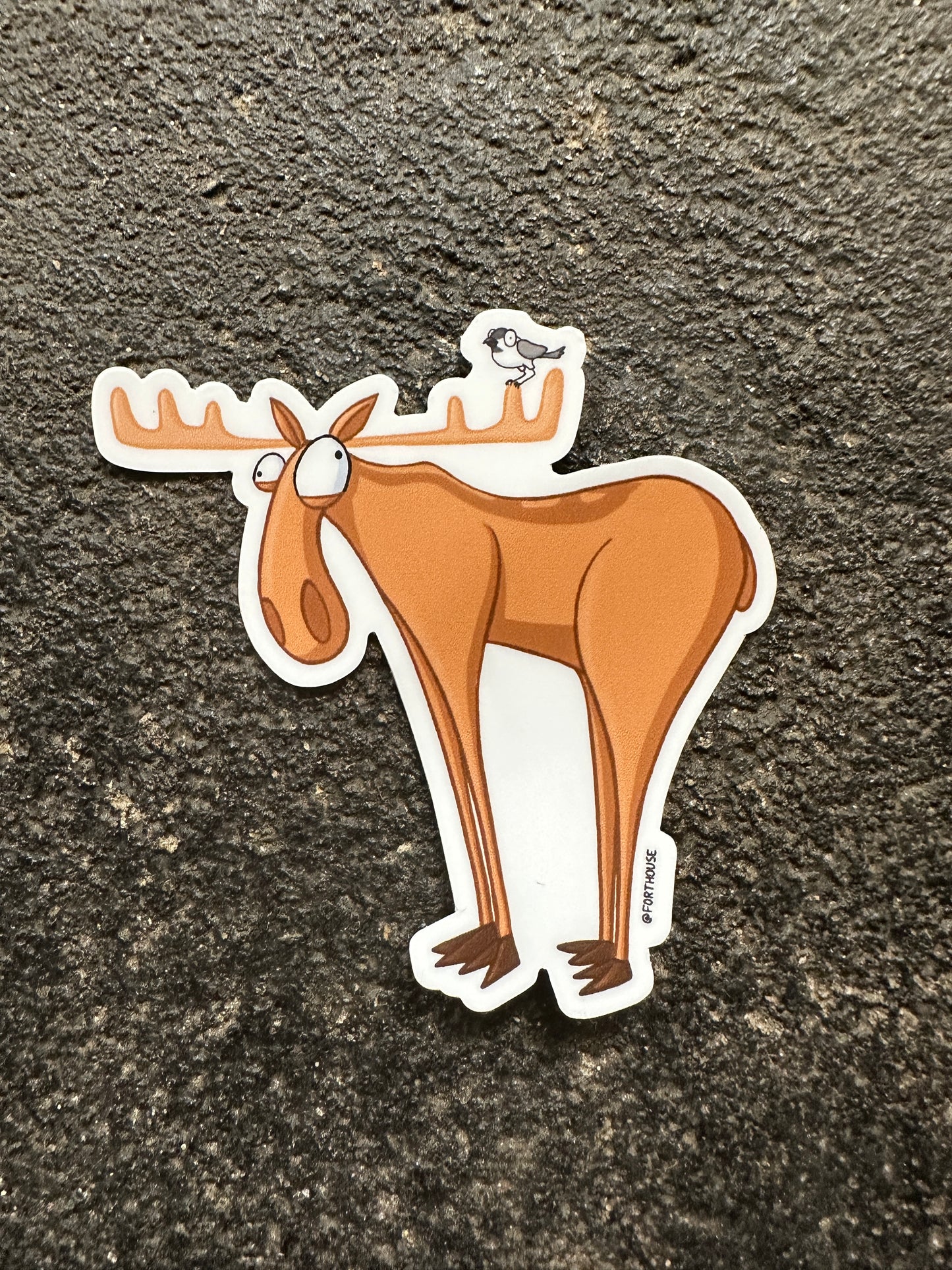 Moose and Chickadee Sticker